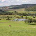 golf_open_tour_-_karlstejn_2011_138_20131223_1956151638