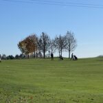 IMG_1379