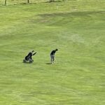 IMG_9917